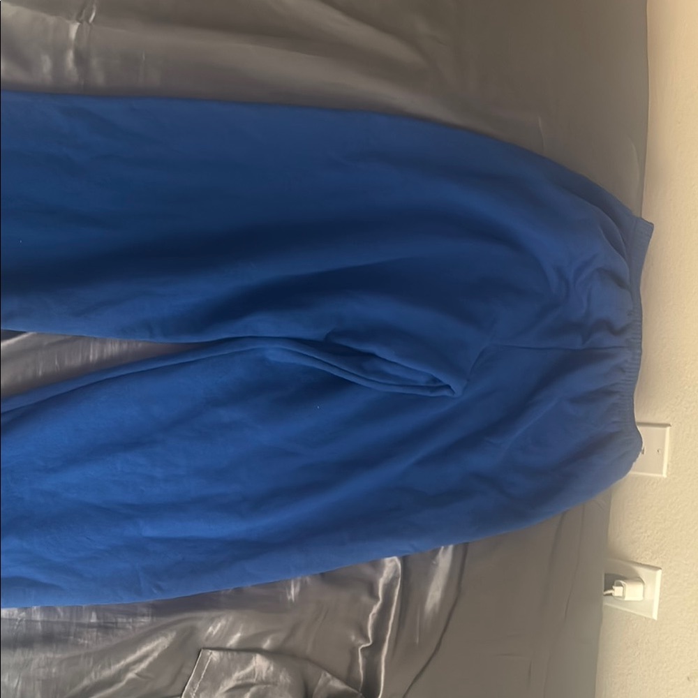 Hanes Men's Blue Sweatpants